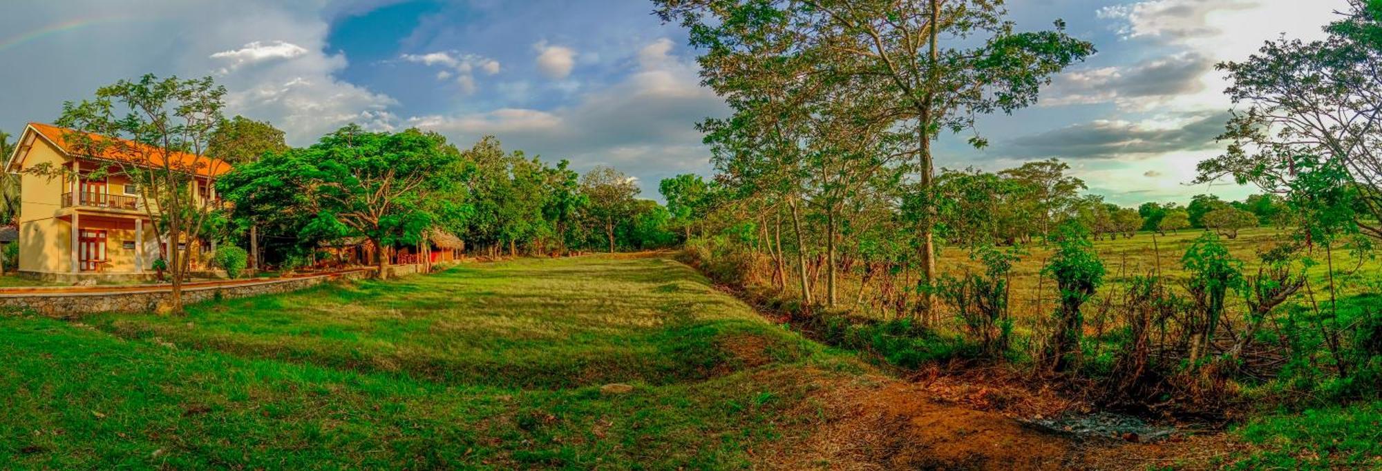 Sigiri Lanka Resort Sigiriya Dış mekan fotoğraf